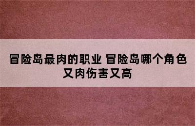 冒险岛最肉的职业 冒险岛哪个角色又肉伤害又高